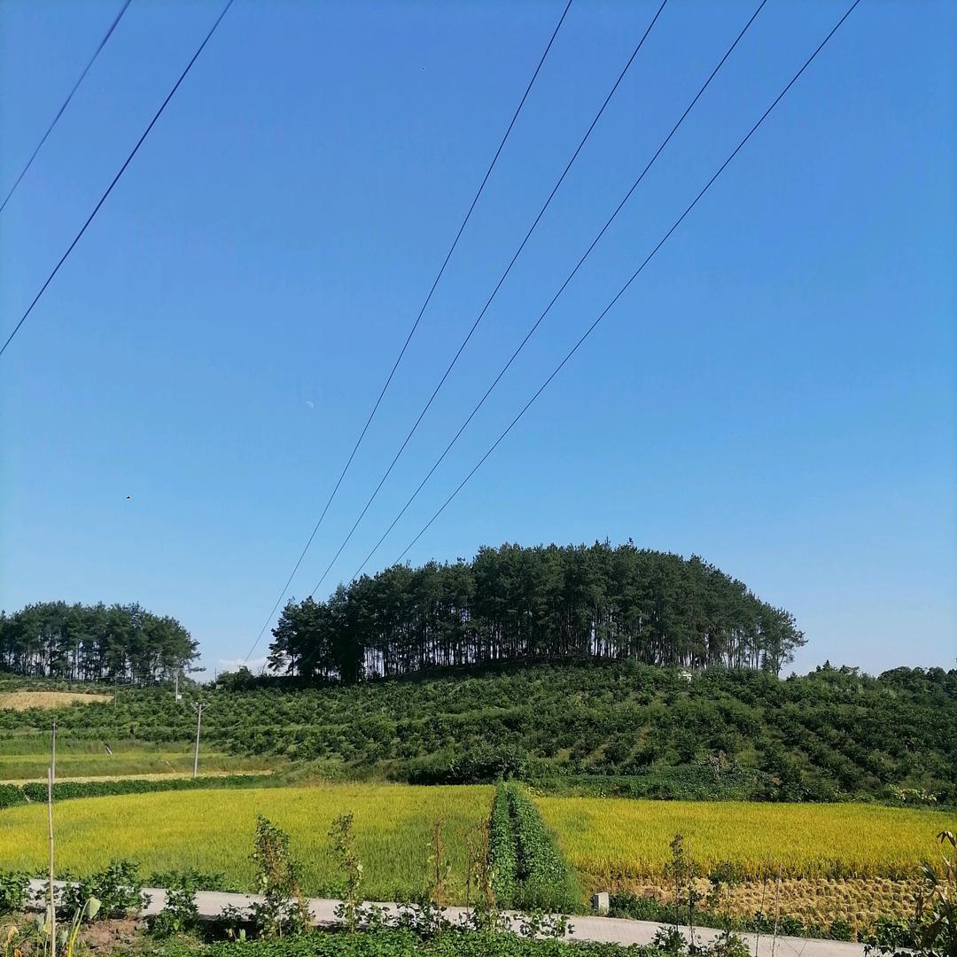 冬冬