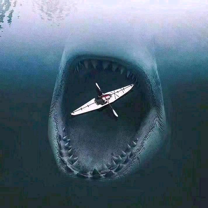 ⌇我ુ在ુ乎ુ༯