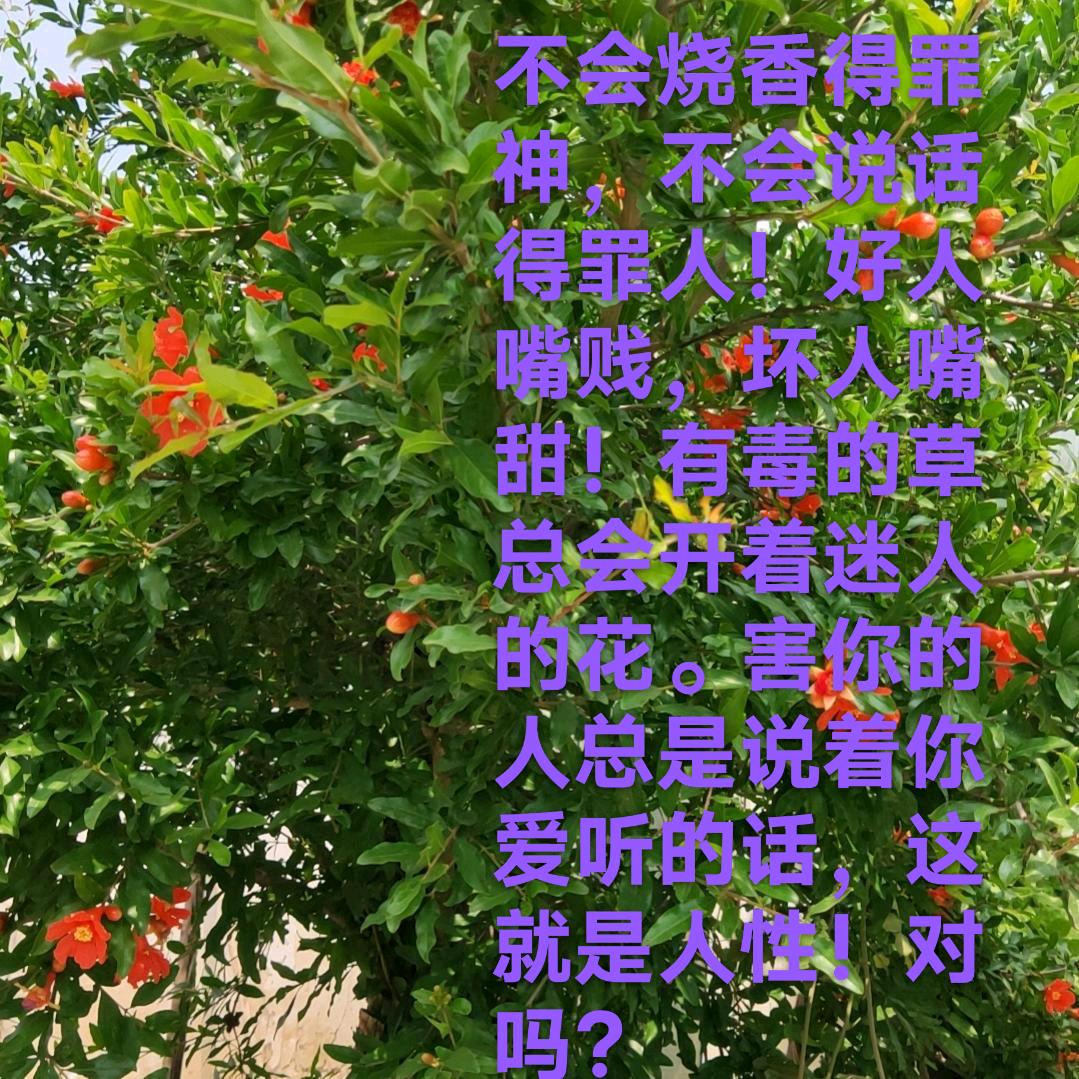 锁着月亮是窗户🌙