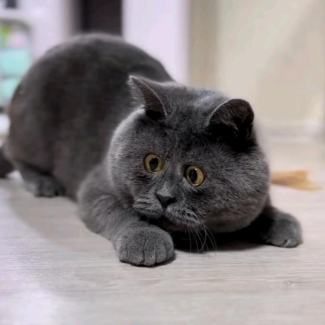 追风吖