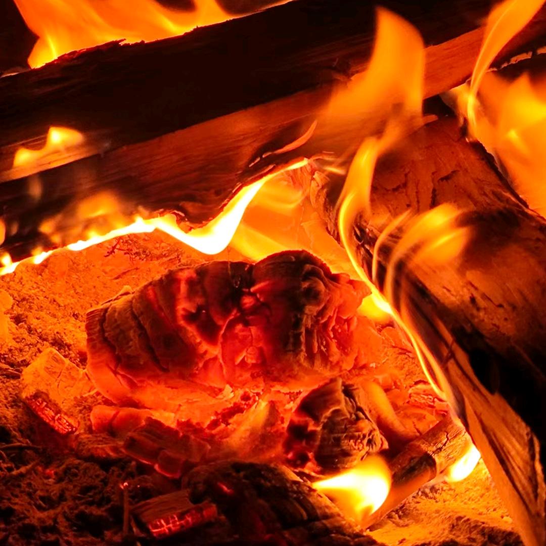 👬尽🌹情🍎燃🍏烧🍊