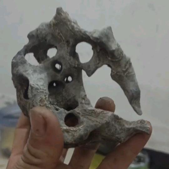 小二哥