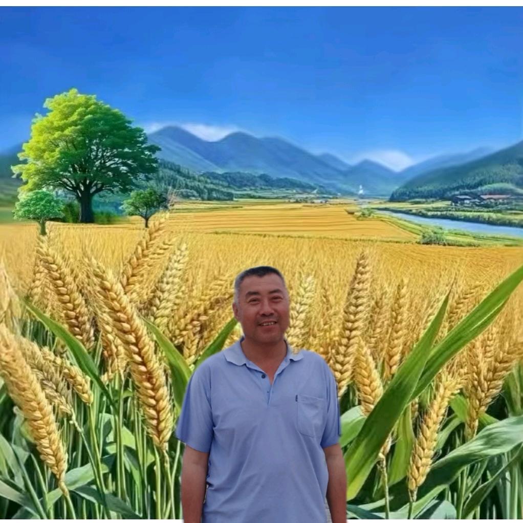 沭理农资