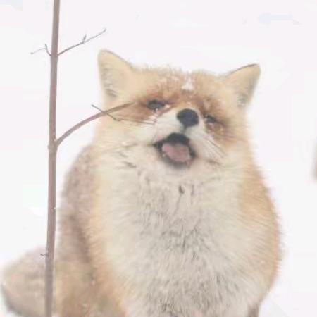 寡人不会起昵称