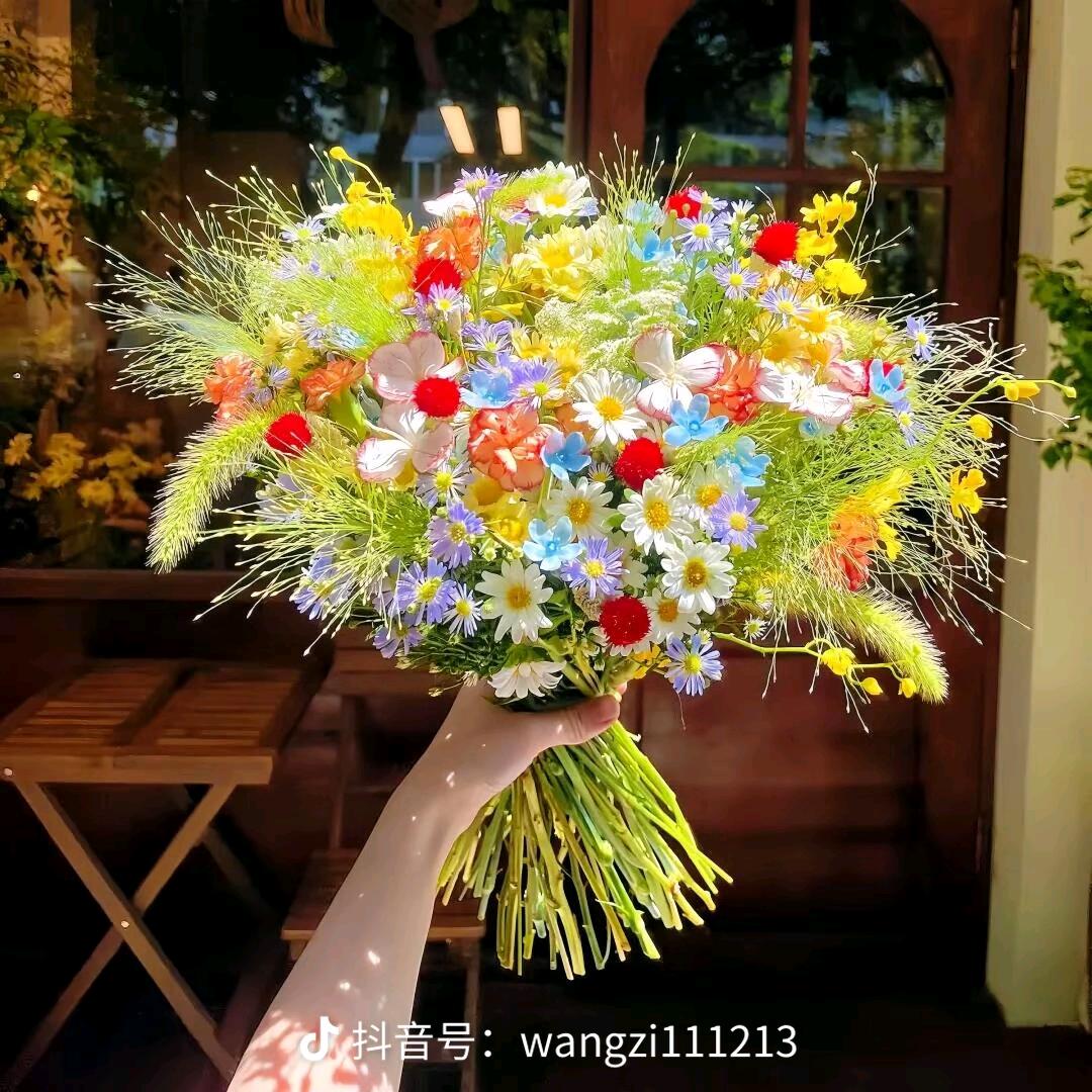 瑞慧七安