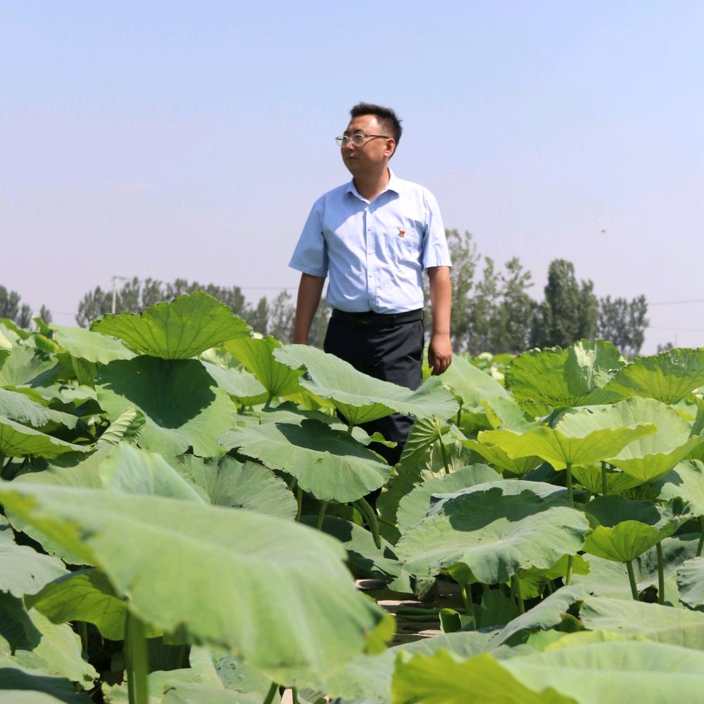 淄博桓台辛泉村支书（秀美辛泉 小辉书记）