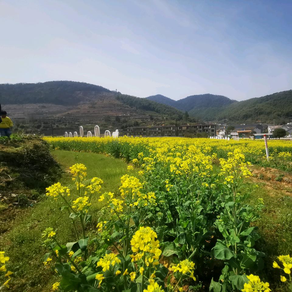 小吕说农村