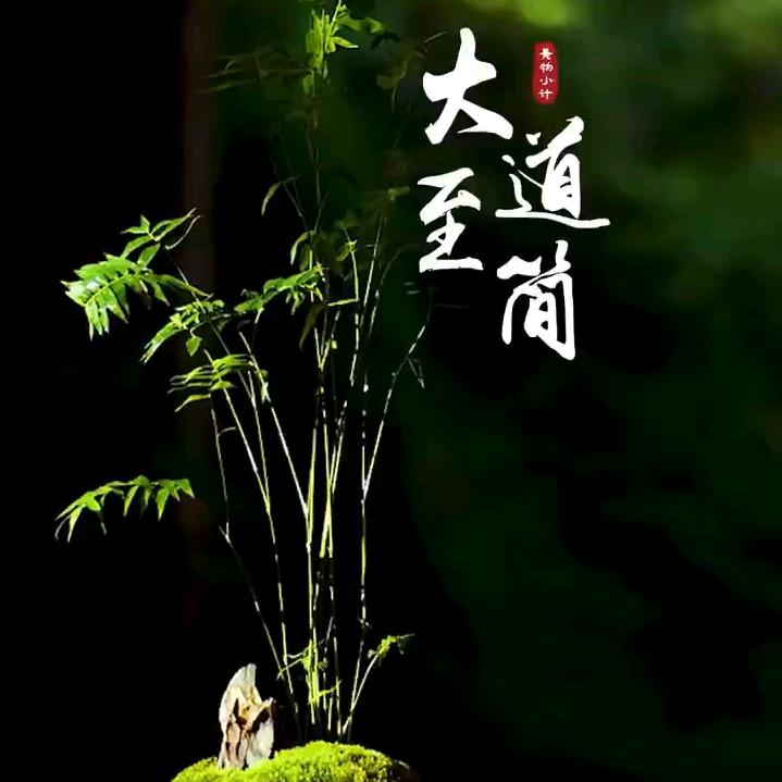 大道♛至简