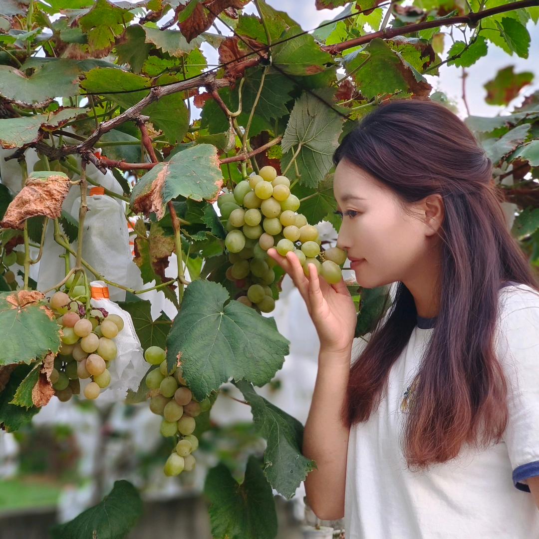 沈小沈画画纯属爱好