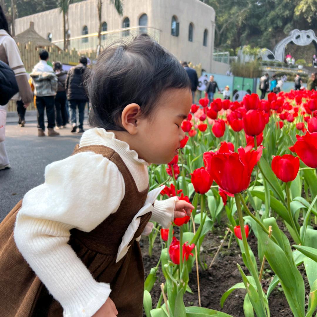 平淡的❤️