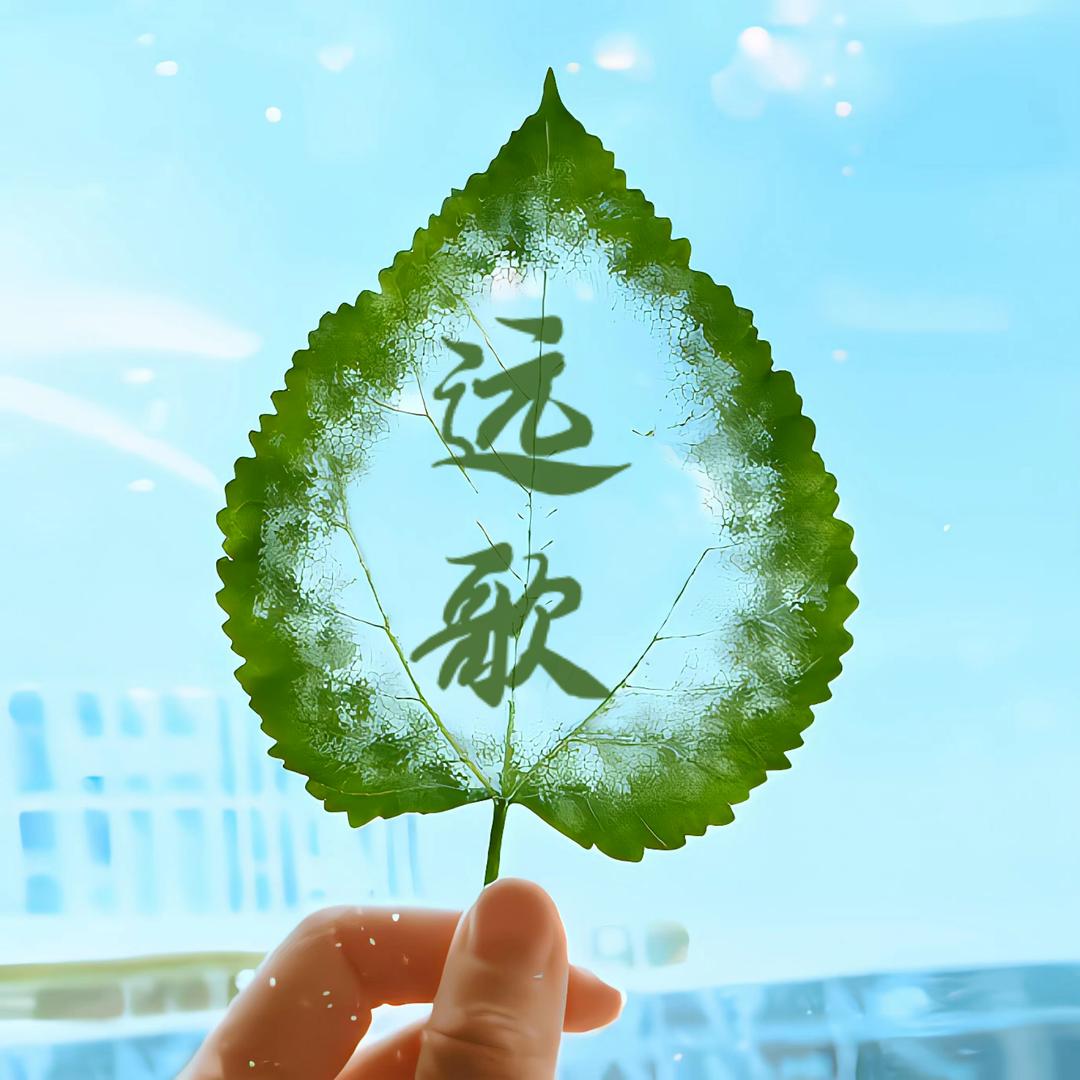 太远
