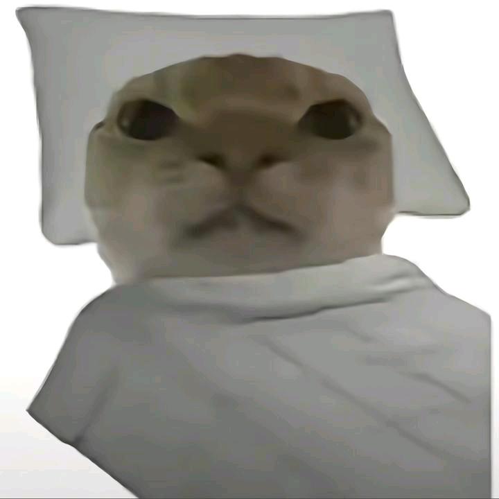 大连第一绿草超人