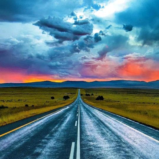 脑瓜子又嗡嗡的吧