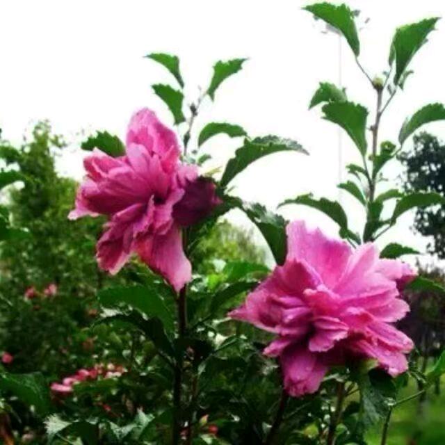 相信自己