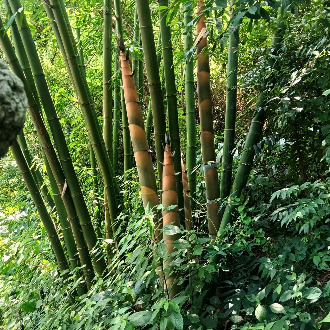 用户9898027069609