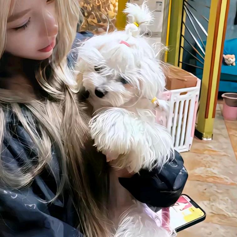 铺满鹅卵石的玄关