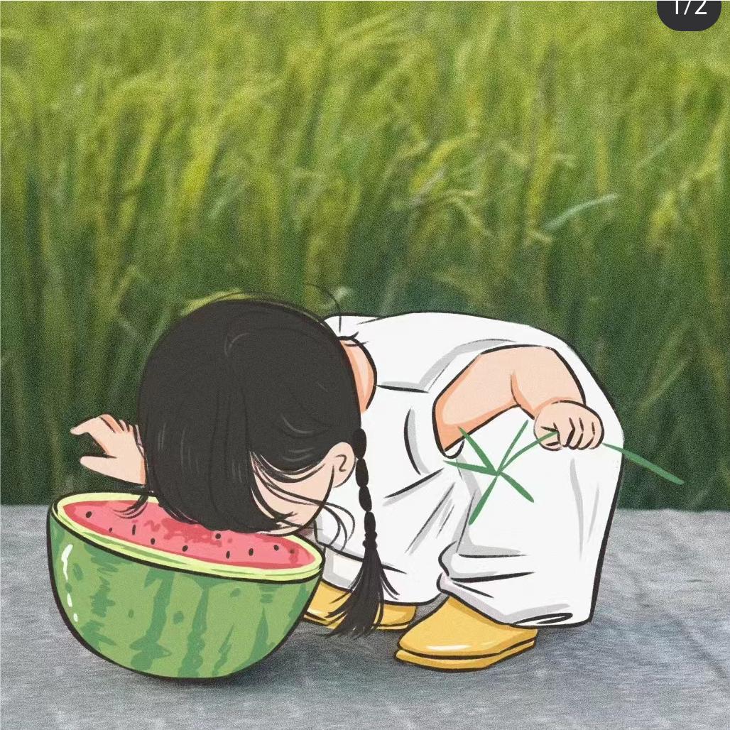 肉肉没烦恼