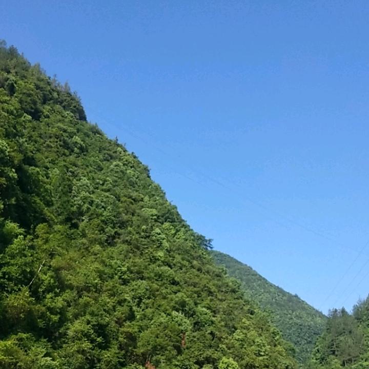 五福临门