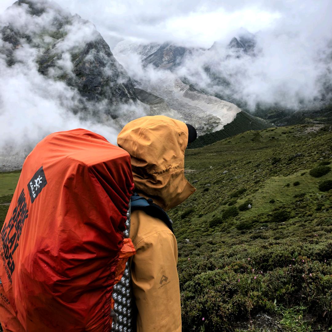 请把脑子还给我