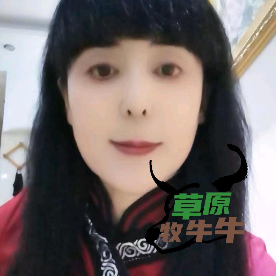 草原牧牛牛