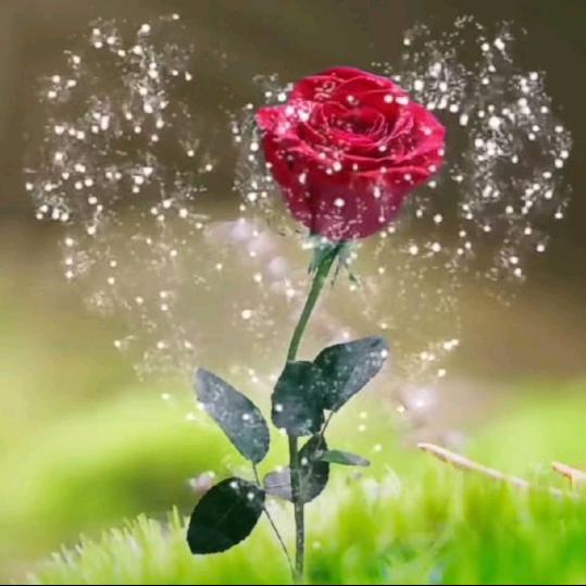 顺其自然🇨🇳