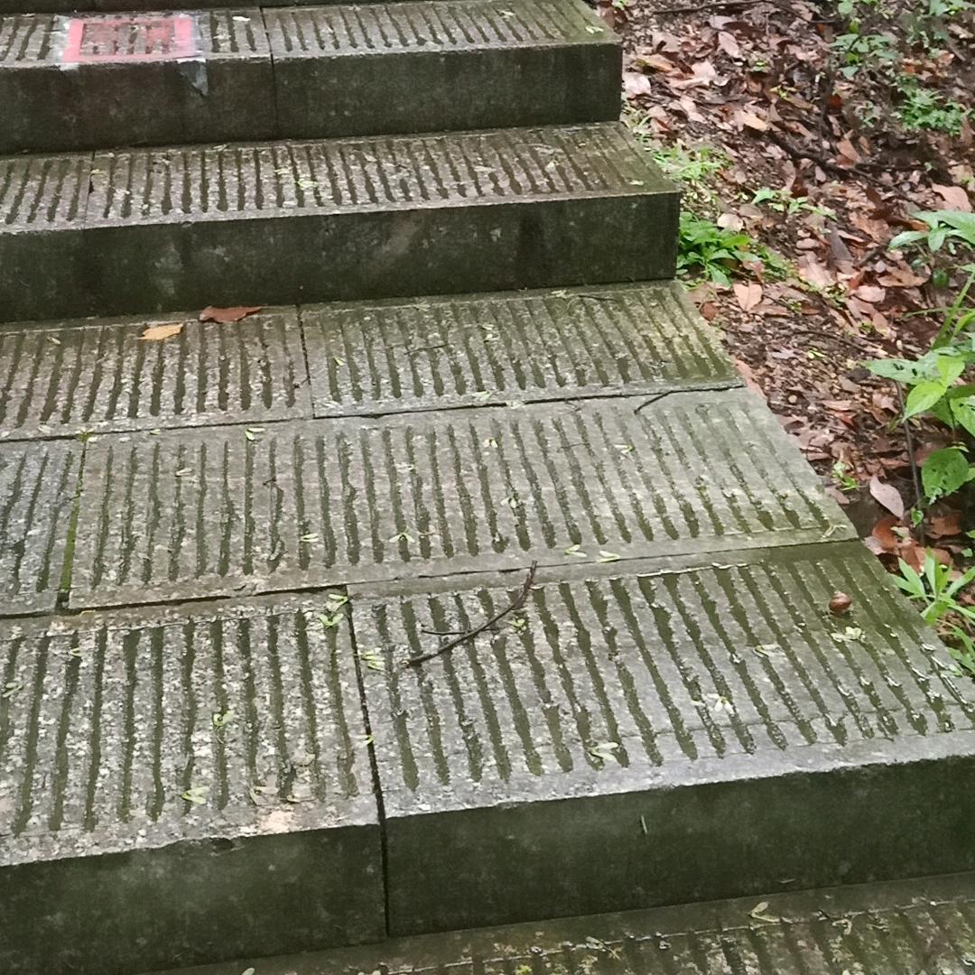 三丰哥