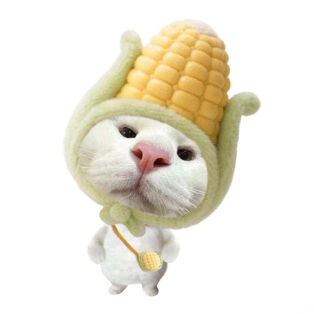 一颗小玉米