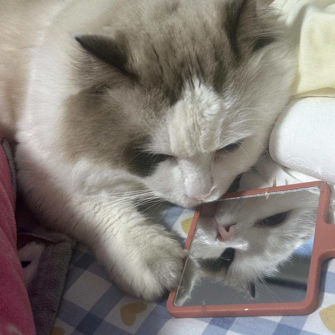 慈念