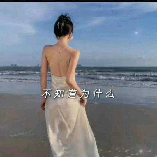 阳光猛烈万物显型