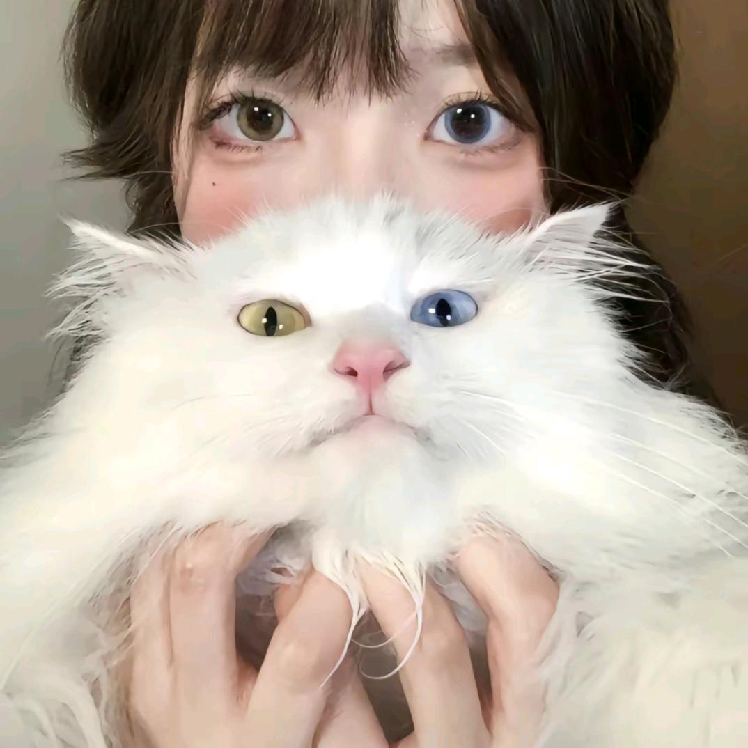 小᳐喵宝᳐੭玩三国