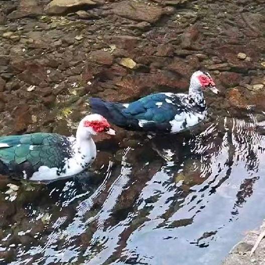 开开心心一家人