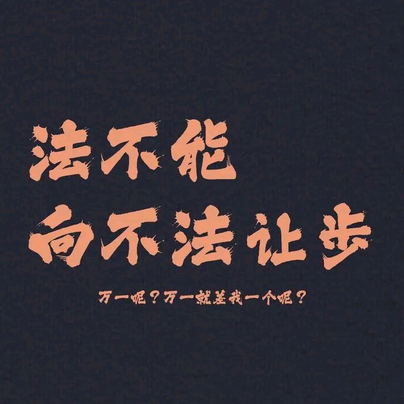 法不能向不法让步