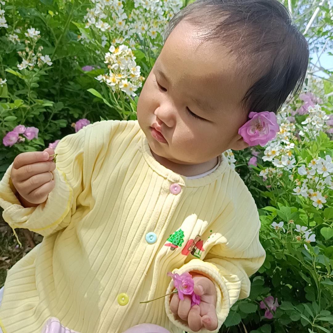小肉宝