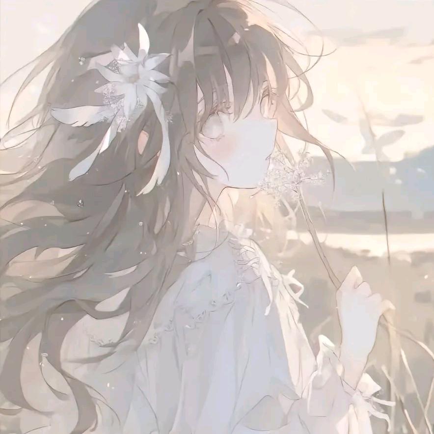 秦哥