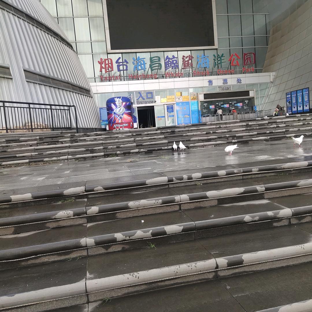 与爱同行$