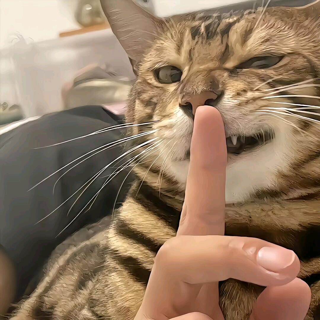 追风.