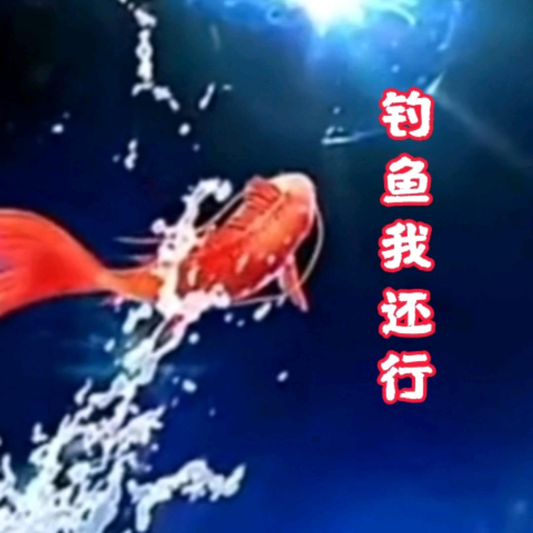 钓鱼我还行