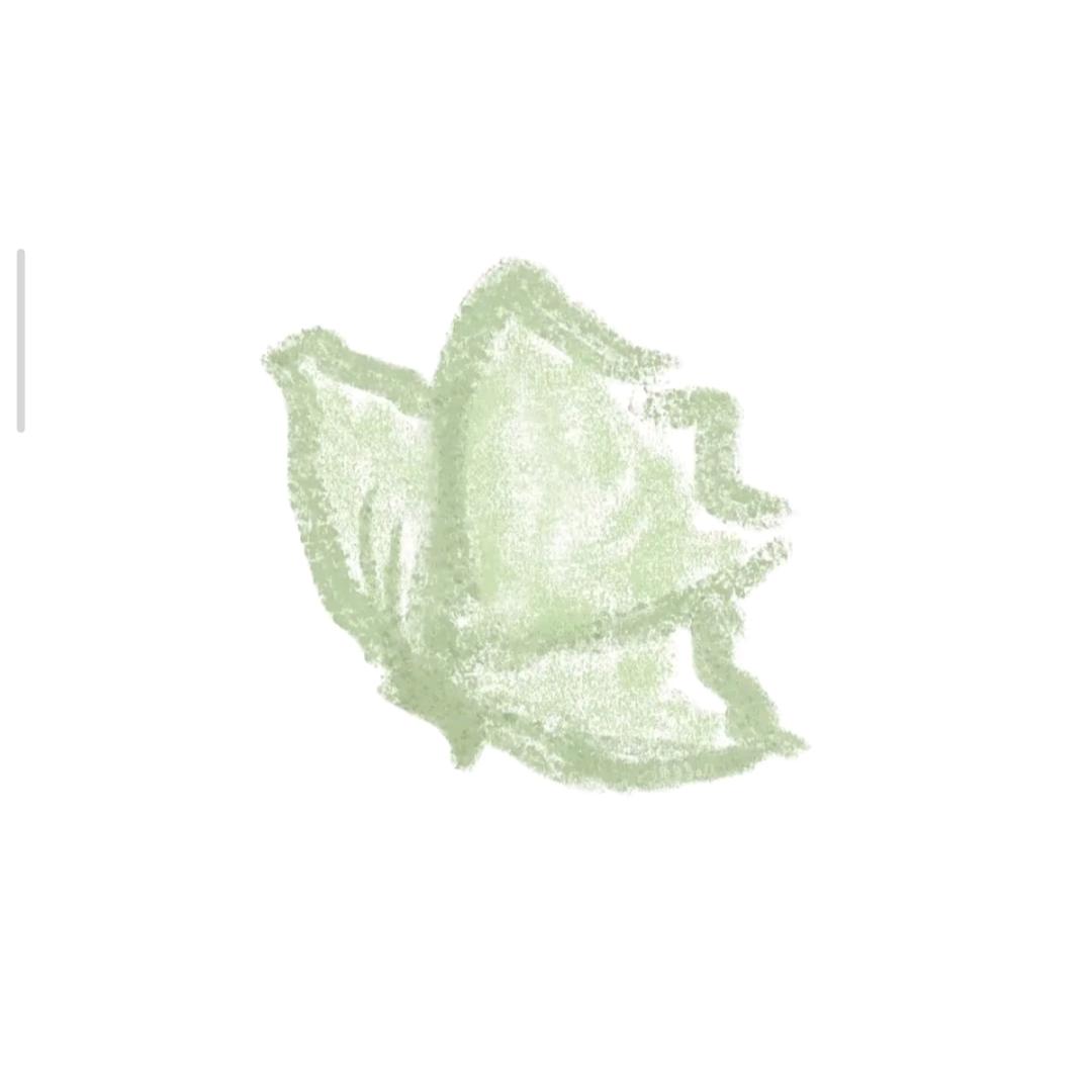 喜欢绿色的小新