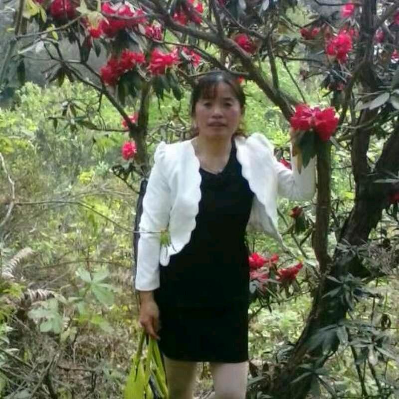 杨艳