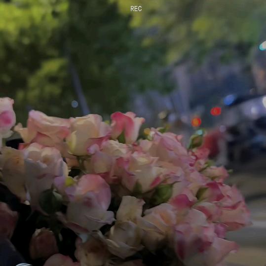 🌈1a叭叭叭叭个啥🦐