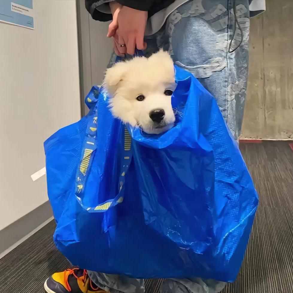 开心（师承米哥）（不看美女版）