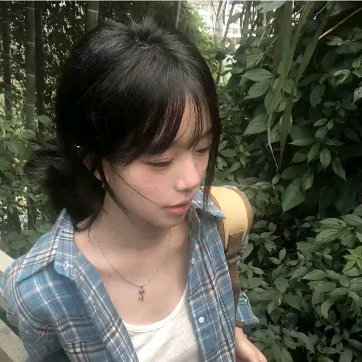 迪士尼里的迪迦