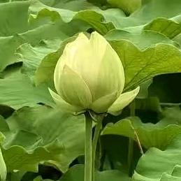 洛阳家政保洁家电清洗维修服务