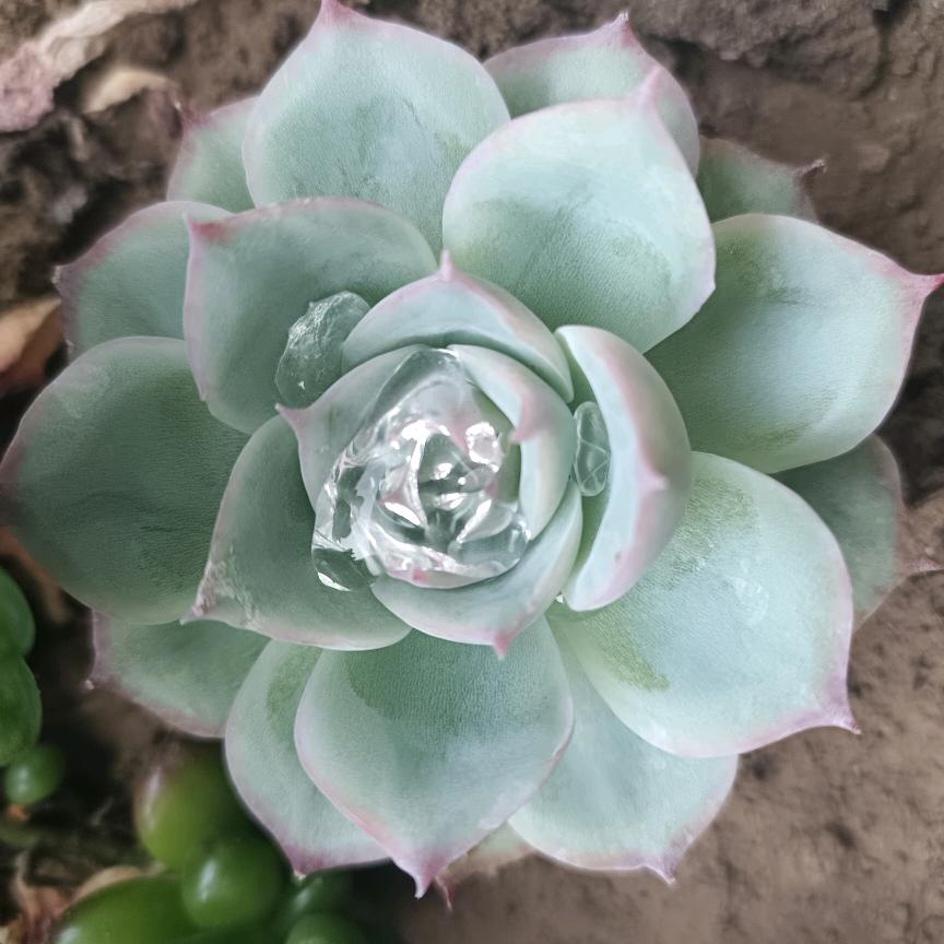 是春天啊！！！