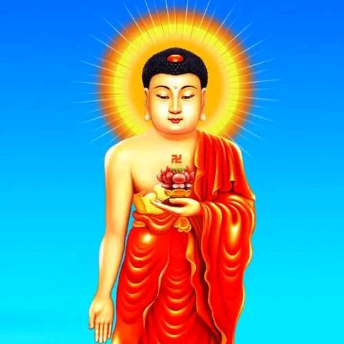 用户49662175635（释万有）
