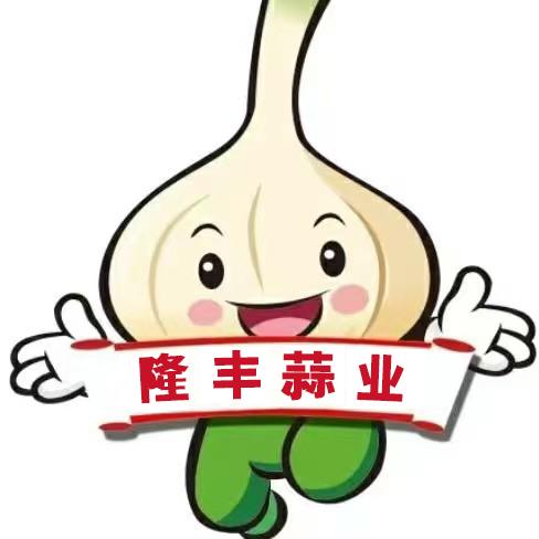 起航