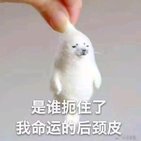 校老弟or王者常胜（互关）