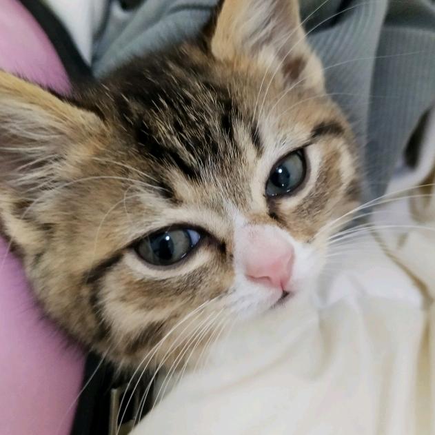 GNDYD  白鹭湖书院芫长