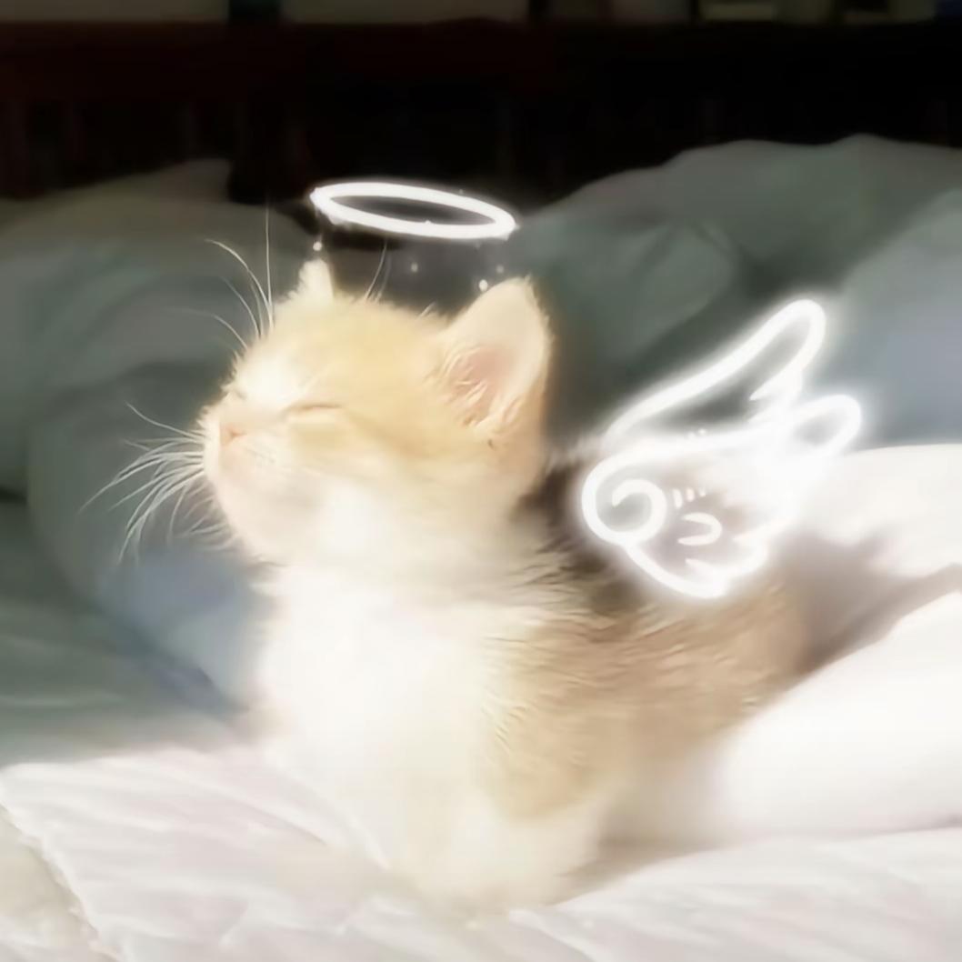 木阿