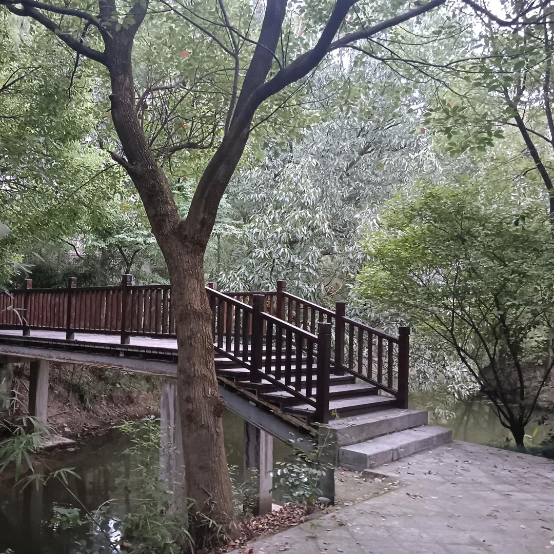 花开富贵🌺🌺🌺